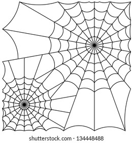 cobweb line vector