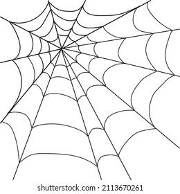 Cobweb, realistic web woven by a spider on a white background. Vector, cartoon illustration. Vector.