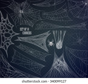 Cobweb set isolated on transparent background