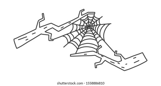 cobweb sketch, hand drawn. Light and durable web hanging on tree branches. Strong and moisture resistant web. Decor natural fibers. Vector illustration.