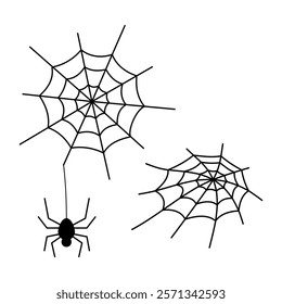 Cobweb and spider. Doodle black line isolated vector illustration outline graphics. Design element for theme Halloween, magic, insect.