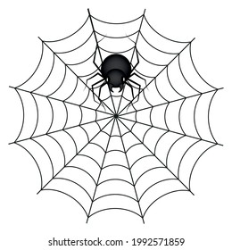 cobweb and spider for halloween