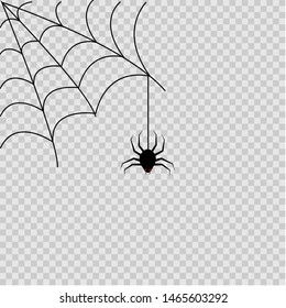 
cobweb and spider for halloween on a plain background. Pen. Vector.