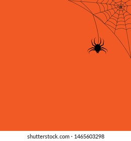 
cobweb and spider for halloween on a plain background. Pen. Vector.
