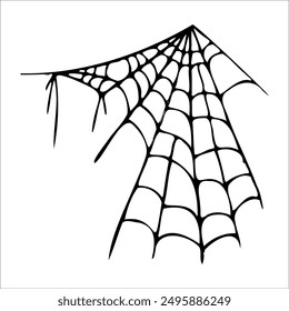 Cobweb, spider network. Isolated unit element vector. Doodle, black outline graphics. Halloween..