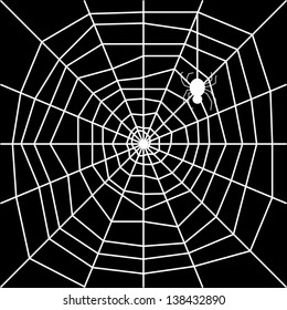 cobweb with spider   silhouette vector