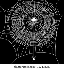 Cobweb and Spider vector