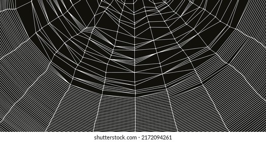 Cobweb or spider web. Network background. Connection structure. 3D wireframe vector illustration in technology style. 