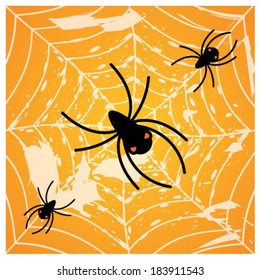Cobweb With Spiders