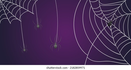 Cobweb with spiders on a purple background. Vector image. Design elements. A template for Halloween. Halloween decor.