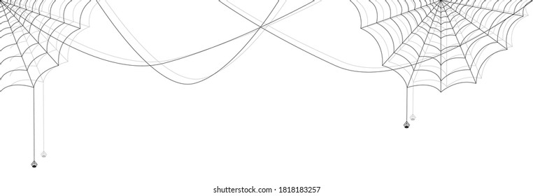 Cobweb and spiders on white empty background 