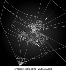 Cobweb vector