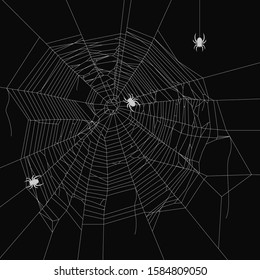 Cobweb vector decorative element. Crawling spider. Spiderweb object on isolated background.