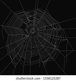 Cobweb vector decorative element. Spiderweb object on isolated background.