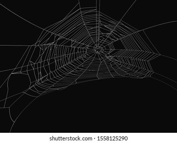 Cobweb vector decorative element. Spiderweb object on isolated background.
