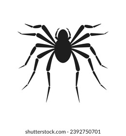 Cobweb Vector isolated on a White background, Spider and web silhouette