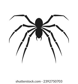 Cobweb Vector isolated on a White background, Spider and web silhouette