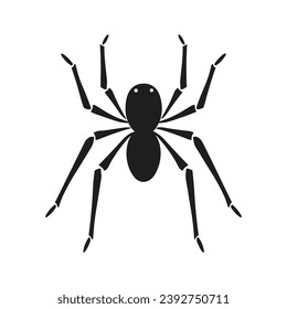 Cobweb Vector isolated on a White background, Spider and web silhouette