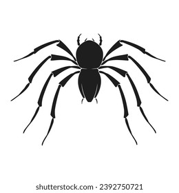 Cobweb Vector isolated on a White background, Spider and web silhouette