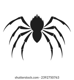 Cobweb Vector isolated on a White background, Spider and web silhouette