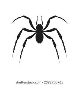 Cobweb Vector isolated on a White background, Spider and web silhouette
