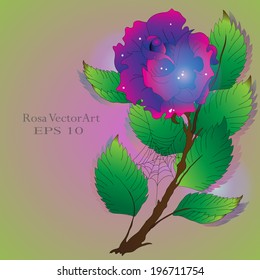 Cobwebby purple roses