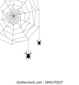 cobwebs in the corner and two spiders. natural form, hand drawn image. black simple isolated object on the white background for Halloween, for party decoration, cartoon spooky linear elements