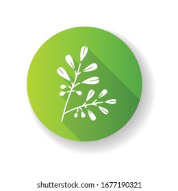 Coca green flat design long shadow glyph icon. Branche of cocaine tree. Erythroxylum coca. Raw material for drug manufacture. South American plant stimulant. Silhouette RGB color illustration