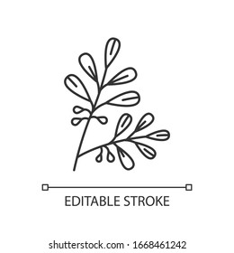 Icono lineal perfecto para píxel Coca. Branche de cocaína. Eritroxilo coca. Estimulante de planta sur. Ilustración personalizable en línea delgada. Símbolo de contorno. Dibujo de contorno aislado del vector. Trazo editable