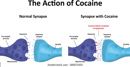 Cocaína