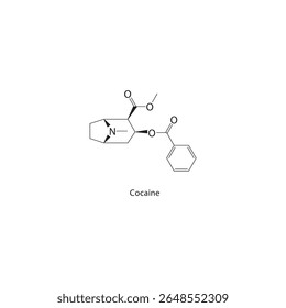 Estructura esquelética de la cocaína. Ilustración esquemática de compuestos alcaloides. Diagrama simple, fórmula química.