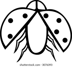 coccinellidae ladybug beetle