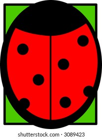 coccinellidae ladybug beetle