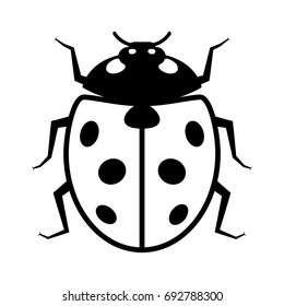 Coccinellidae Ladybug or ladybird beetle insect flat vector icon for wildlife apps and websites