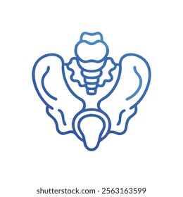 Coccyx Anatomy Visual Reference for Students