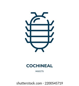 Icono de Cochineal. Ilustración vectorial lineal de la colección de insectos. Esquema del vector de icono de la cochinilla. Símbolo de línea delgada para uso en aplicaciones web y móviles, logotipo, medios impresos.