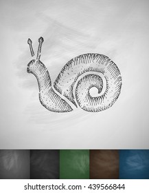 cochlea icon. Hand drawn vector illustration