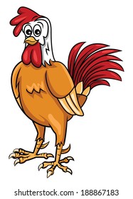 cock