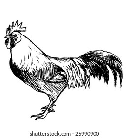 Tell Cock monster white clip art pity Cock monster white clip art sorry