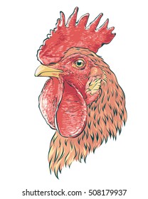 Cock