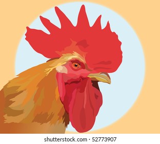cock
