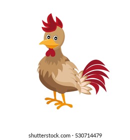 cock