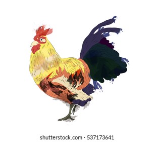 cock