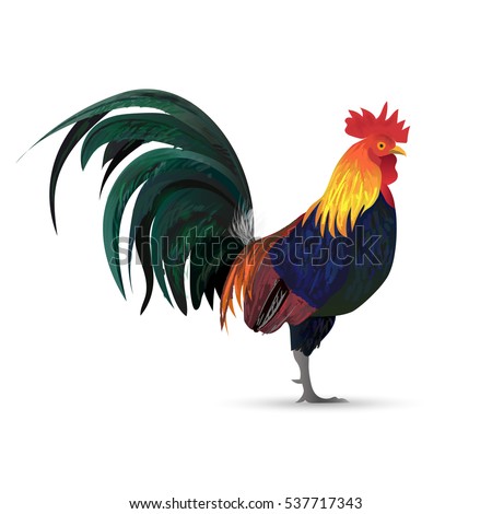 cock picture com Gays against semitism