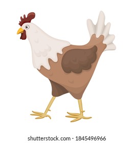 Cock of animal cartoon vector icon.Cartoon vector illustration rooster. Isolated illustration of cock rooster icon on white background.