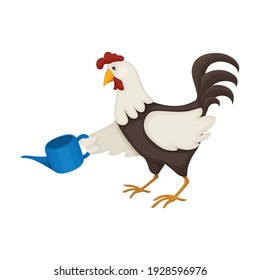 Cock of animal cartoon vector icon.Cartoon vector illustration rooster. Isolated illustration of cock rooster icon on white background.