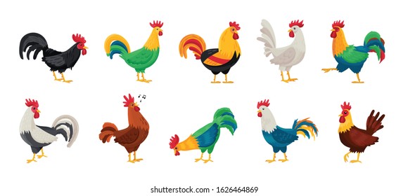 Cock of animal isolated cartoon set icon.Vector illustration set rooster cockerel.Vector cartoon icon cock of animal.