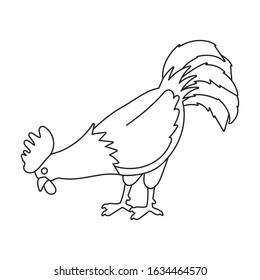 Cock of animal vector icon.Outline,line vector icon isolated on white background cock of animal.