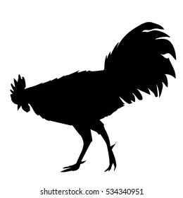 cock bird, rooster silhouette - vector illustration