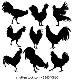 cock bird, rooster silhouette - vector illustration